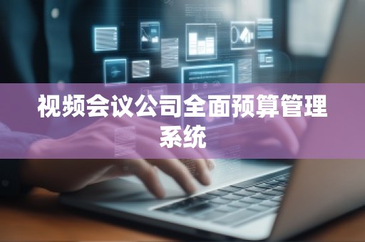 视频会议公司全面预算管理系统