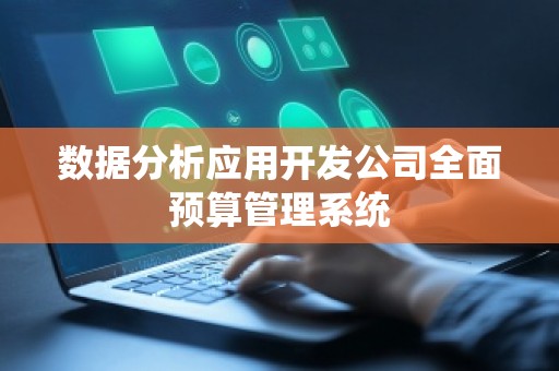 数据分析应用开发公司全面预算管理系统