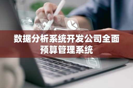 数据分析系统开发公司全面预算管理系统