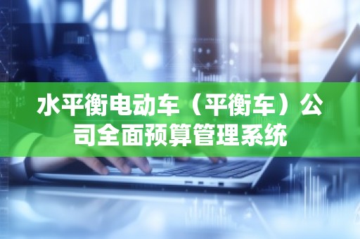 水平衡电动车（平衡车）公司全面预算管理系统