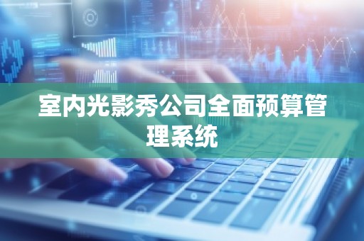室内光影秀公司全面预算管理系统
