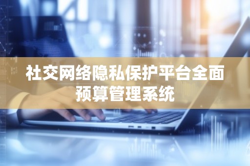 社交网络隐私保护平台全面预算管理系统