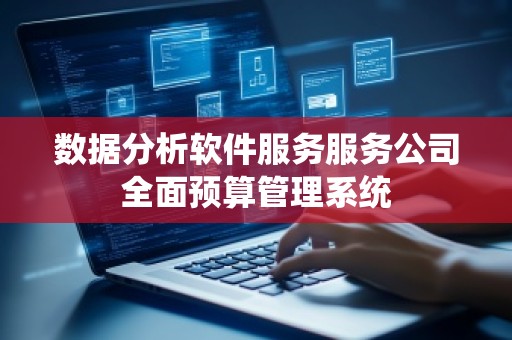 数据分析软件服务服务公司全面预算管理系统