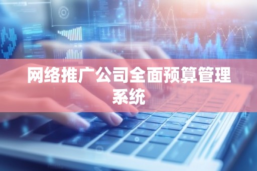 网络推广公司全面预算管理系统