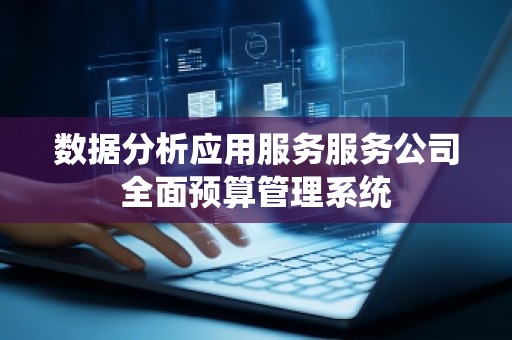 数据分析应用服务服务公司全面预算管理系统