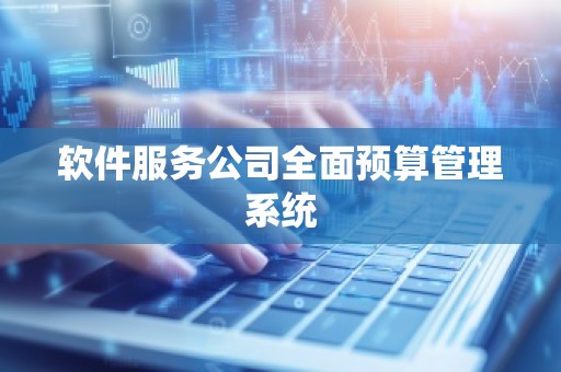 软件服务公司全面预算管理系统