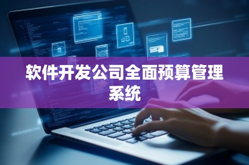 软件开发公司全面预算管理系统