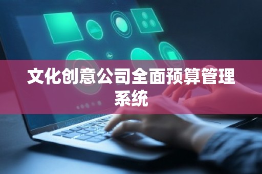 文化创意公司全面预算管理系统