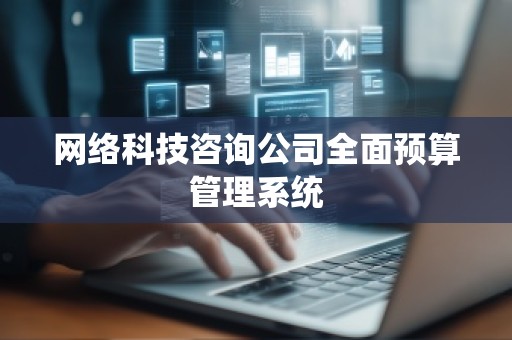网络科技咨询公司全面预算管理系统