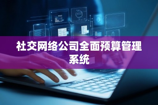社交网络公司全面预算管理系统