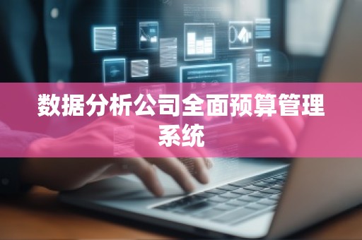 数据分析公司全面预算管理系统