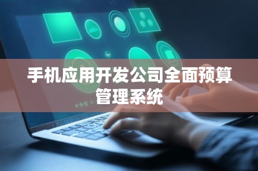 手机应用开发公司全面预算管理系统