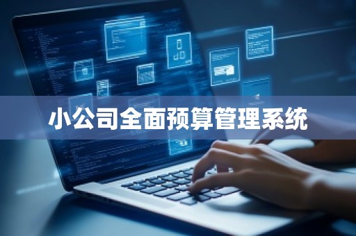小公司全面预算管理系统