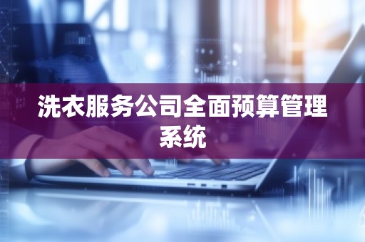洗衣服务公司全面预算管理系统