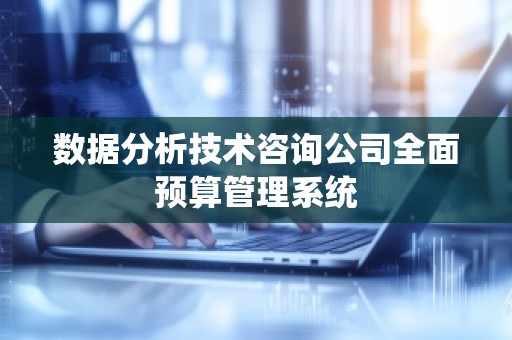 数据分析技术咨询公司全面预算管理系统
