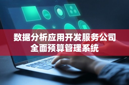数据分析应用开发服务公司全面预算管理系统