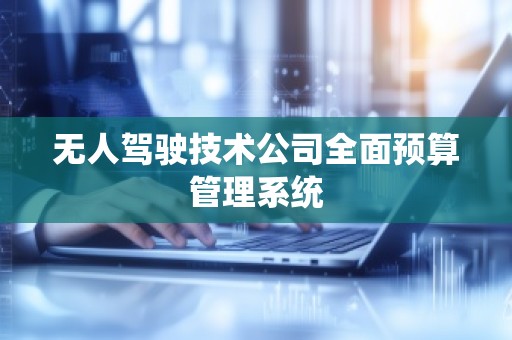 无人驾驶技术公司全面预算管理系统