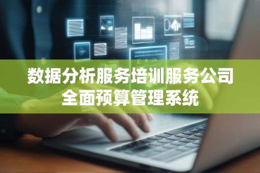 数据分析服务培训服务公司全面预算管理系统