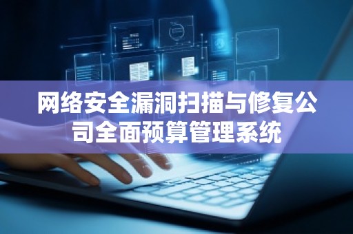 网络安全漏洞扫描与修复公司全面预算管理系统