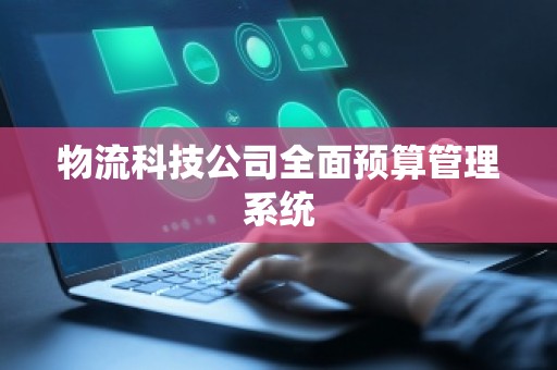 物流科技公司全面预算管理系统