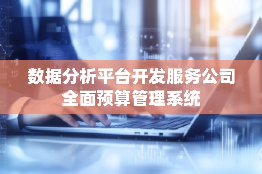 数据分析平台开发服务公司全面预算管理系统