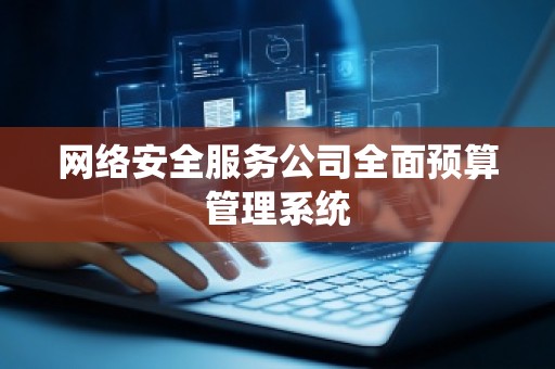 网络安全服务公司全面预算管理系统