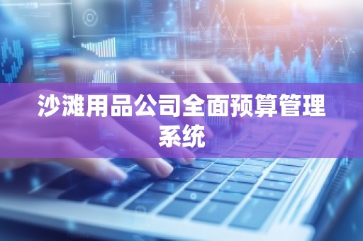 沙滩用品公司全面预算管理系统