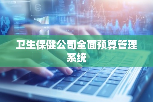 卫生保健公司全面预算管理系统