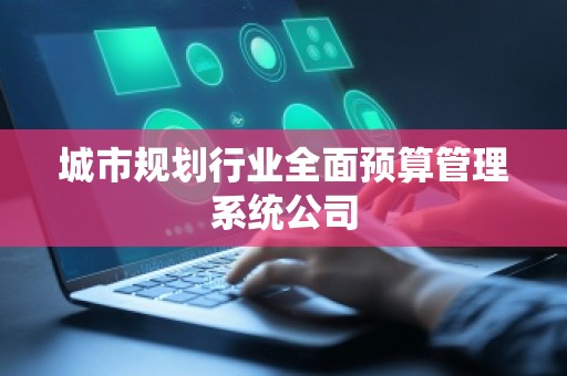 城市规划行业全面预算管理系统公司