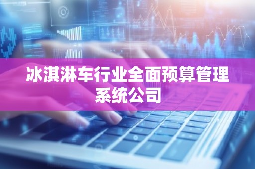 冰淇淋车行业全面预算管理系统公司