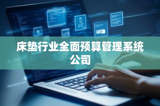 床垫行业全面预算管理系统公司
