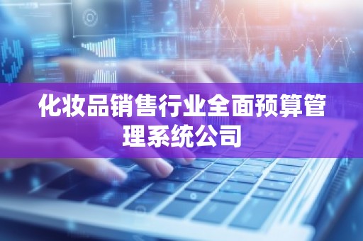 化妆品销售行业全面预算管理系统公司