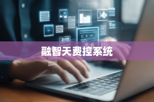 融智天费控系统