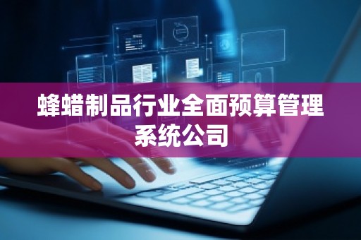 蜂蜡制品行业全面预算管理系统公司