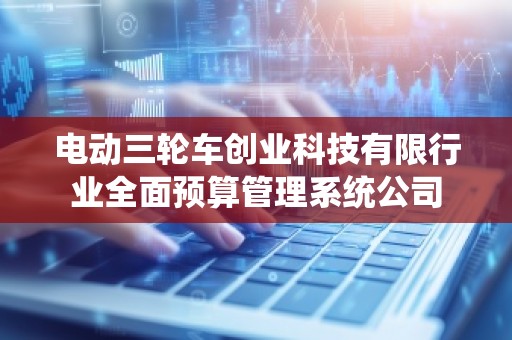 电动三轮车创业科技有限行业全面预算管理系统公司