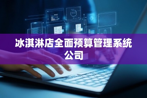 冰淇淋店全面预算管理系统公司