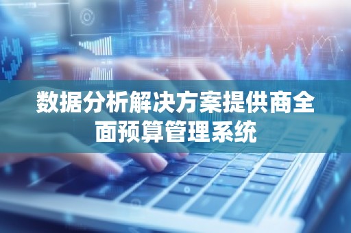 数据分析解决方案提供商全面预算管理系统