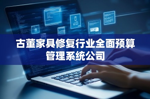 古董家具修复行业全面预算管理系统公司