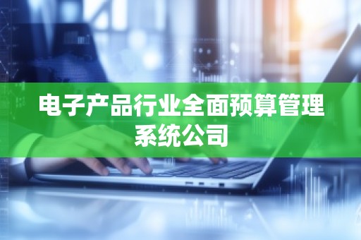 电子产品行业全面预算管理系统公司