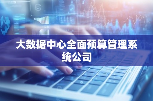 大数据中心全面预算管理系统公司