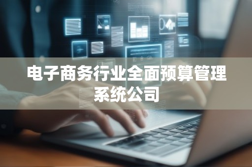 电子商务行业全面预算管理系统公司