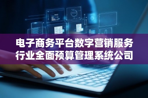 电子商务平台数字营销服务行业全面预算管理系统公司