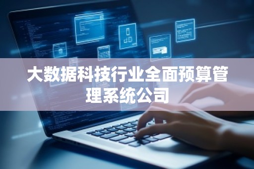 大数据科技行业全面预算管理系统公司