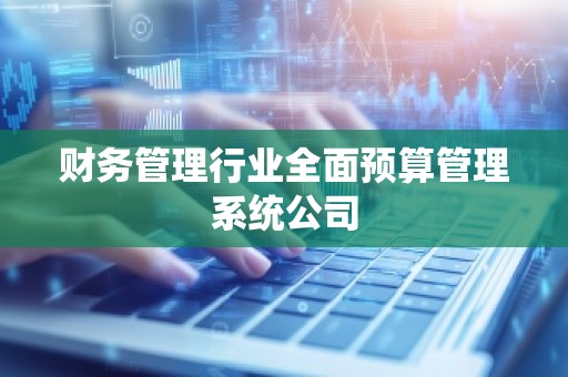 财务管理行业全面预算管理系统公司