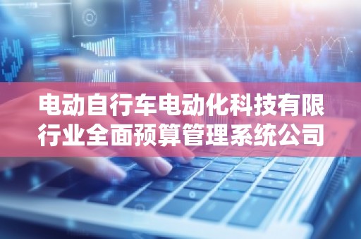 电动自行车电动化科技有限行业全面预算管理系统公司
