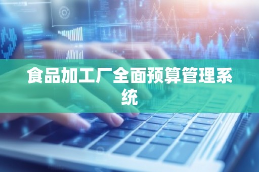 食品加工厂全面预算管理系统