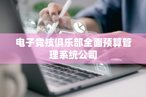 电子竞技俱乐部全面预算管理系统公司