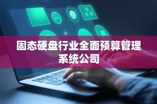 固态硬盘行业全面预算管理系统公司