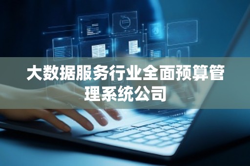 大数据服务行业全面预算管理系统公司