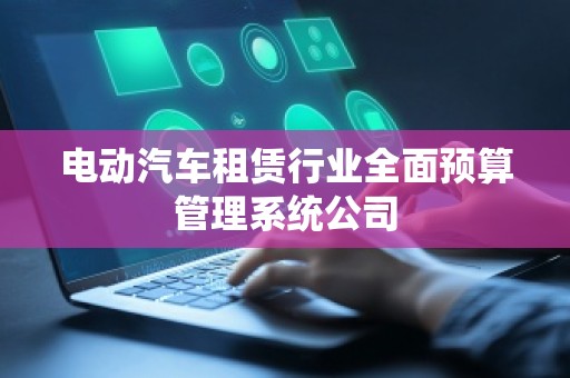 电动汽车租赁行业全面预算管理系统公司